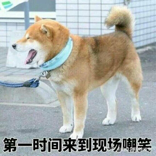 大学宿舍的关系真的有你想象中那么好吗
