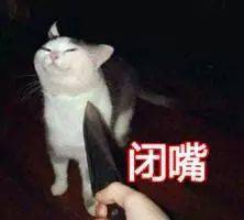 2022春节回怼亲戚自救指南