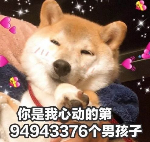 红了20年,这次是真的退圈了