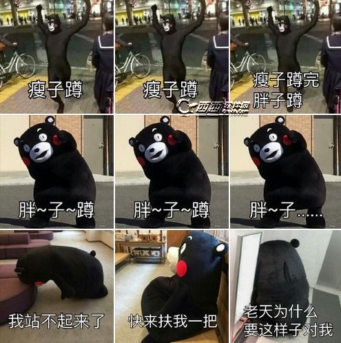 关于胖的表情包