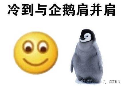 最低8海南下周起降温又降雨未来几天的天气是这样的...