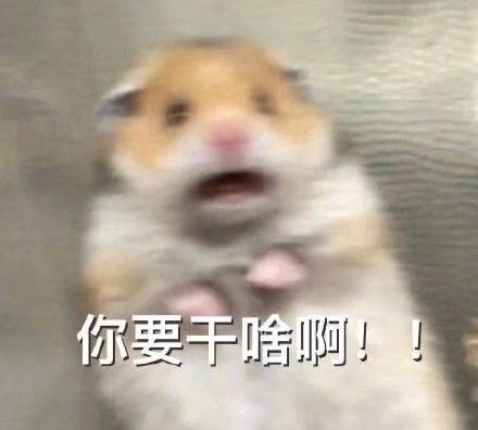 表情包之王必有的表情包