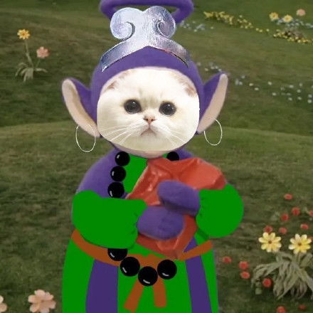 小猫咪版天线宝宝西游记表情包