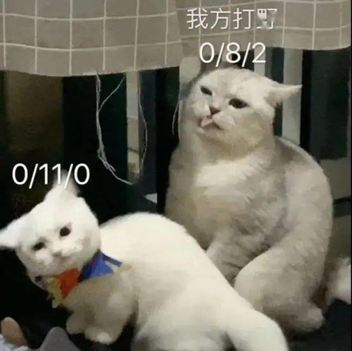 猫猫王者荣耀表情包