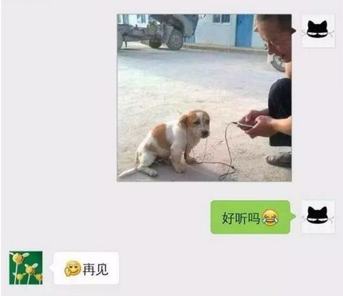 七夕必备聊天套路合集,撩妹撩汉神器,赶紧嗨起来