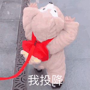 斗图动态表情包合集热死啦,这鬼天气是要烤熟我这只小肥猪