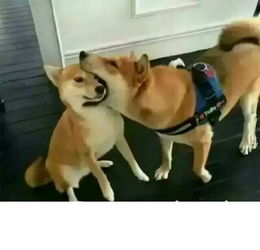 长得着急是种怎样的体验
