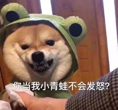 小姐姐是在扮演狐狸吗这狐狸尾巴很到位啊可是咋塞进去的哈哈哈