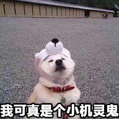为什么女生的态度不明确