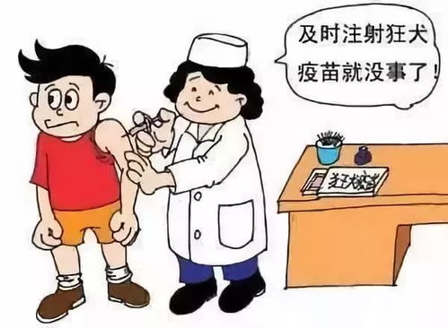 文明养犬共建和谐社区