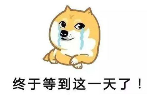 一不顺心就高温,一言不和就下雨还好周日有ta拯救水深火热中的泥萌