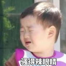 宋民国可爱表情包大家好,我上线啦