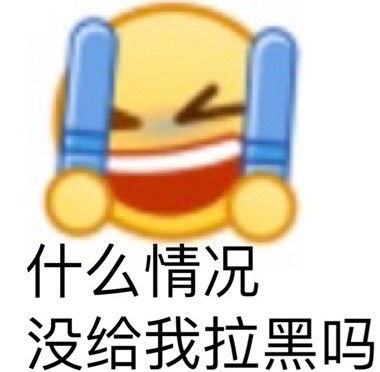 孙一宁王思聪表情包