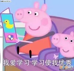 似懂非懂表情包表情