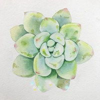好看又简单的水彩画头像微信头像图片大全