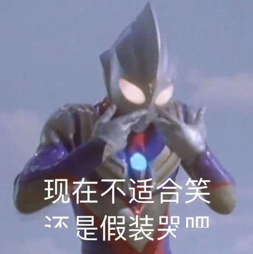 不要再问我送啥礼物啦