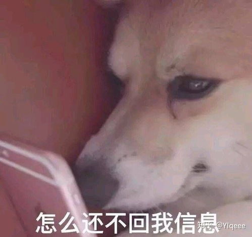谈恋爱时男生要怎么主动