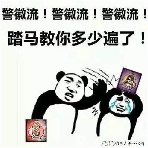 csgo冬瓜强表情包表面淬火