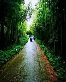 拨开雾霾,寻找春的序曲