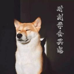 寒假攻略你还在熬夜吗