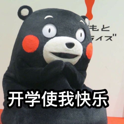 露西和詹姆斯这是什么梗