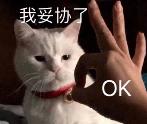 喜欢的表情包可爱脸大