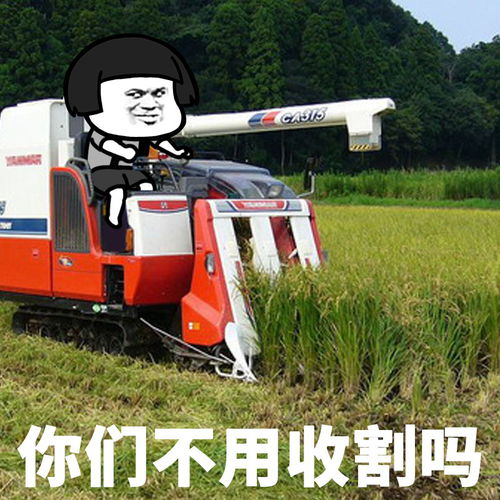 表情你们不用收割稻子吗发表情fabiaoqing.com表情