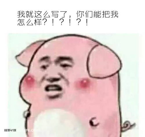 十二生肖都适合开什么suv