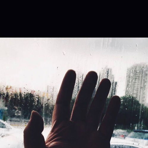 男生突然把头像换成这个,有什么特殊含义嘛