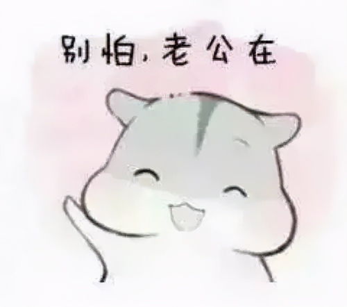 别生气表情包可爱小仓鼠