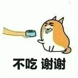 新婚两月不戴婚戒仍分居却忙造人,44岁林志玲和日本老公先婚后恋只为生娃