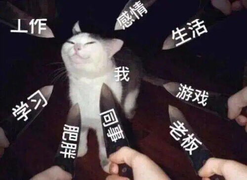 过年被亲戚唠叨时,如何用鲁迅先生的话怼回去