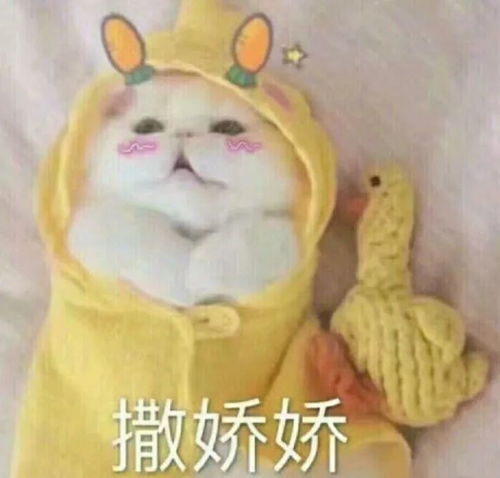 啊啊啊啊啊,都好可爱丫,全部抱走