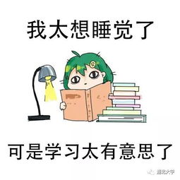 湖大人期末复习专用表情包,总有一款适合你