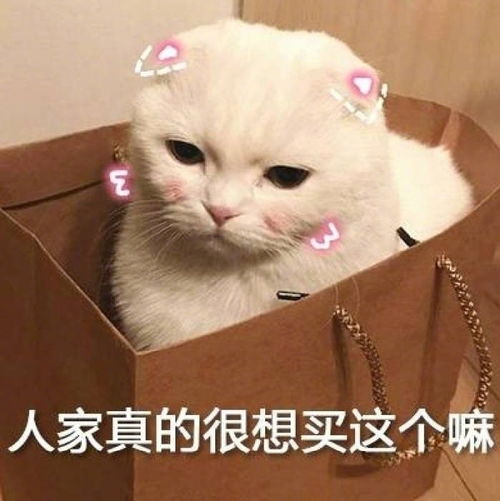 修车费,20条鱼干,算你便宜的第627期羁绊网