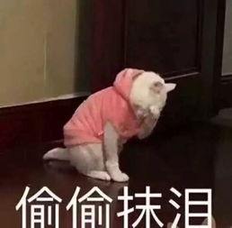 要疯了的表情包春季皮肤过敏