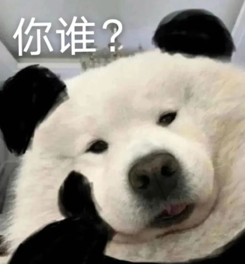沙雕表情包注入快乐能量