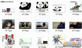 我可能买了假手办表情包下载乐游网游戏下载