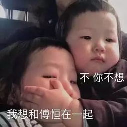 延禧攻略的段子和表情包