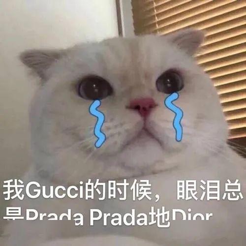 这几天,上海人抛弃北欧式排队了....网友今天的大丸百货买出了不要钱的感觉