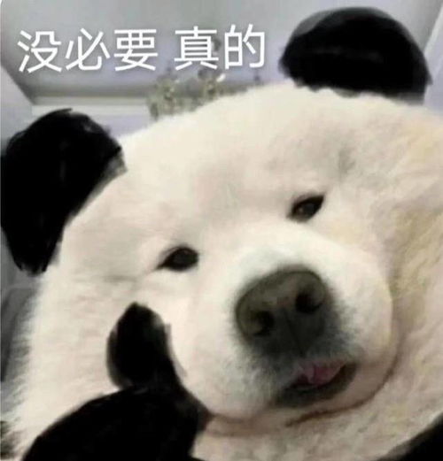 21个韩娱粉丝微博账号被禁言,一万人集资1小时就500多万