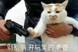 成年人羞于启齿的东西,都被这部9.4分日剧说了