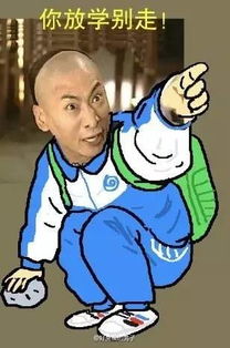 哈哈哈,还珠格格要被玩儿坏了
