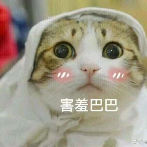 奇怪的知识增加了是个什么梗