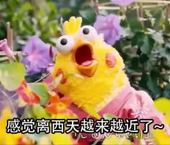 生活就是一部西游记