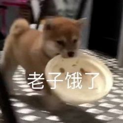 安检时遇到警犬,竟然会是这么尴尬的场面