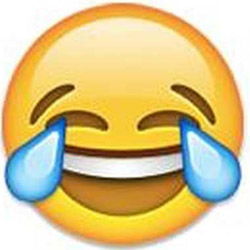 哭泣的表情包简笔画牛津词典