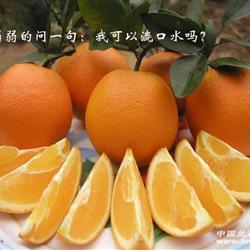 0起拍20斤赣南信丰脐橙买橙子送植料二选一