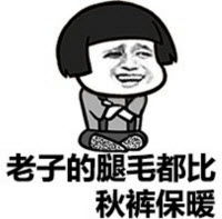 秋裤猫表情包