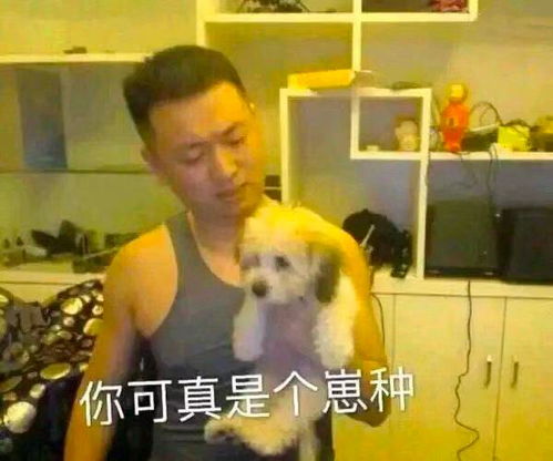 e句话看天下张柏芝这回有三个萌娃啦,恭喜